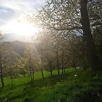 Suschethof Appartamento Oppenau