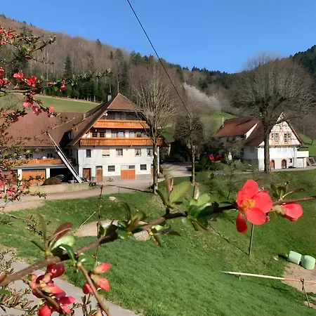 Apartament Suschethof Oppenau