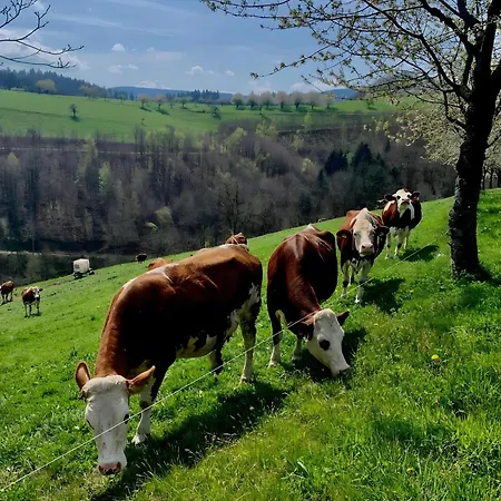 Apartament Suschethof *