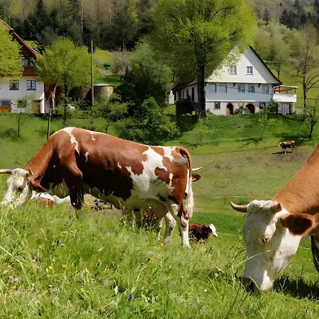 Apartament Suschethof *