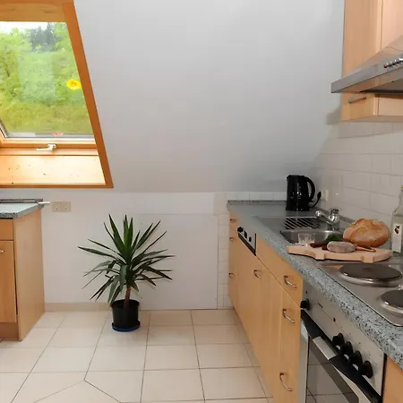 Apartament Suschethof Oppenau