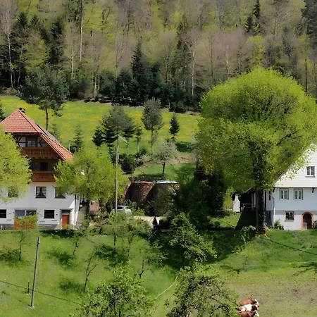 Suschethof Appartamento Oppenau
