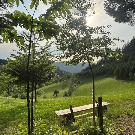 Suschethof Oppenau