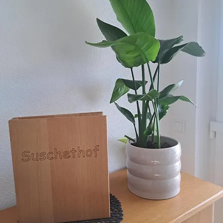 Suschethof Apartament Oppenau