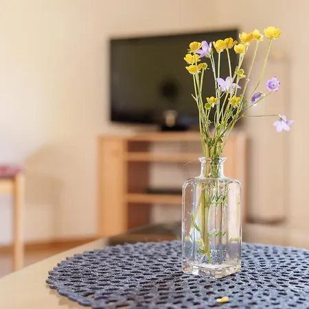 Apartament Suschethof