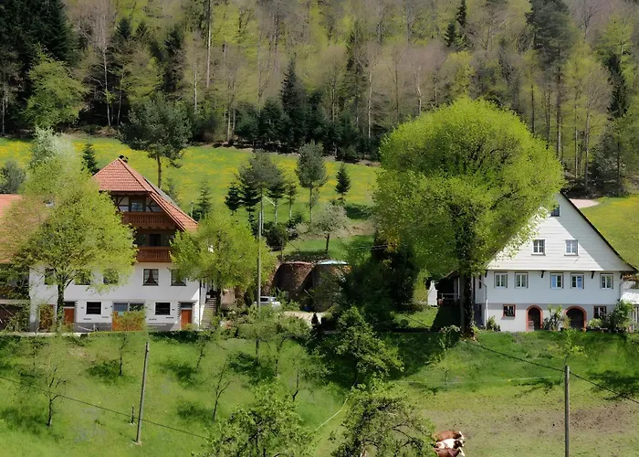 Suschethof * Oppenau