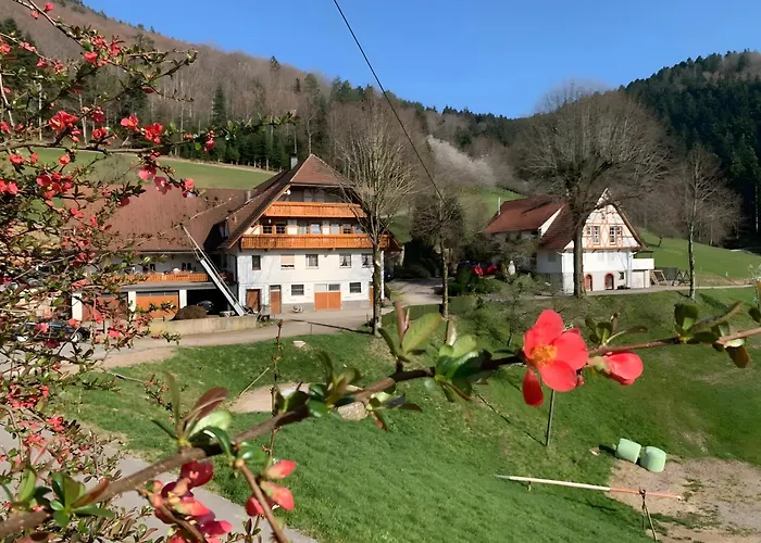 Lägenhet Suschethof Oppenau