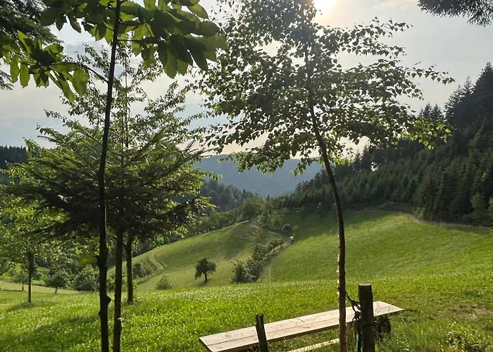 Suschethof Lägenhet Oppenau