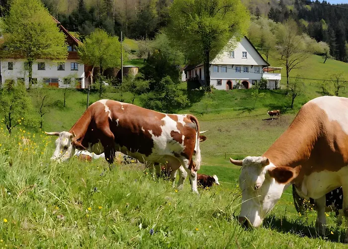 Lägenhet Suschethof *